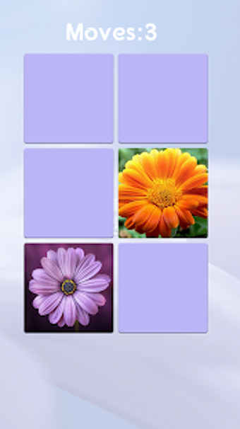 Image 1 for Flower Memory Game - Brai…