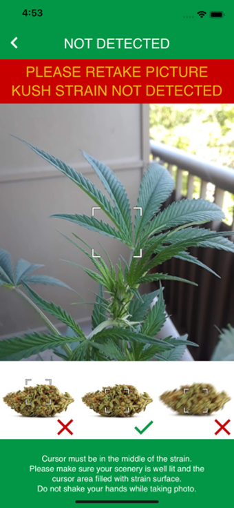 Image 3 for Kush Scan: Identify Weed …