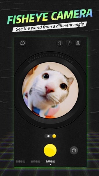 Image 0 for SelfieCity