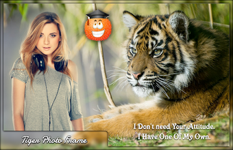Image 1 for Tiger Photo Frames