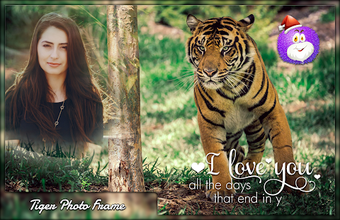 Image 0 for Tiger Photo Frames