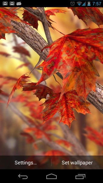 Imagen 1 para Autumn Tree Live Wallpape…