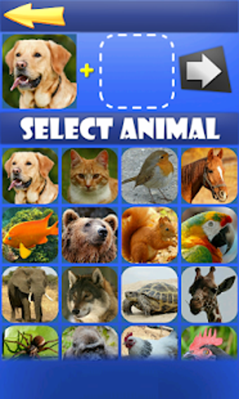 Image 2 for Morph Hybrid Animals