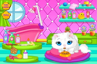 Image 0 for Taking Bath For Your Cat