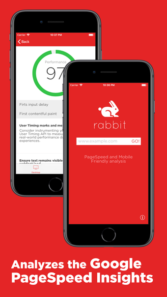 Image 0 for Rabbit Web Performance