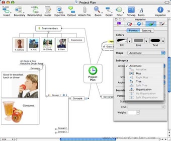 Image 0 for Mindjet MindManager