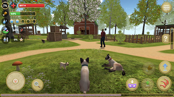 Imagen 0 para Cat Simulator 2020