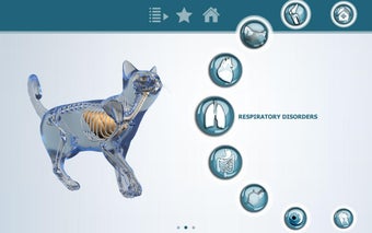 Imagen 0 para IDEXX PHN 3D