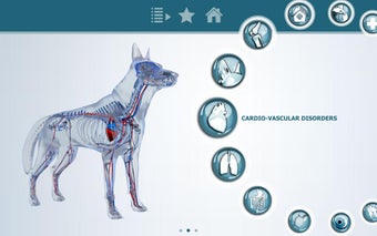 Imagen 1 para IDEXX PHN 3D