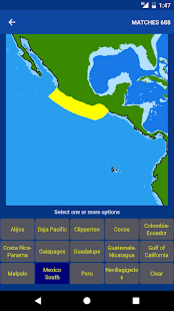 Image 3 for Fishes: East Pacific
