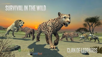 Image 1 for Clan of Leopards