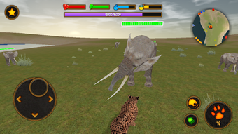 Image 2 for Clan of Leopards