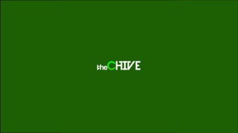 Image 0 for The Chive for Windows 8