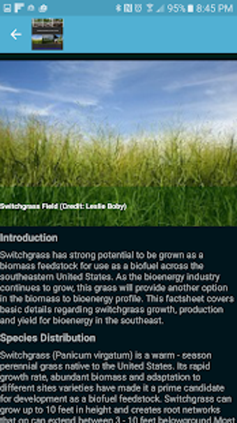 Image 3 for Biofuel