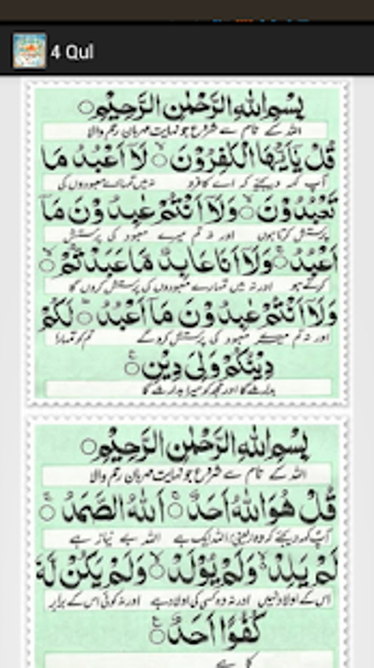 Imagen 1 para 4 Qul