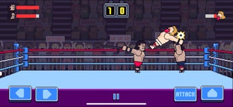 Image 1 for Rowdy Wrestling