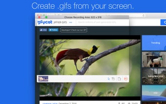 Image 0 for GIF Brewery