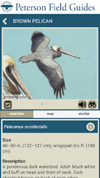 Image 3 for Peterson Birds North Amer…