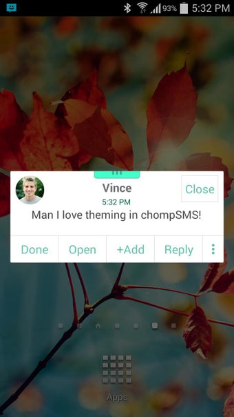 Imagen 2 para Mint Theme (chomp)