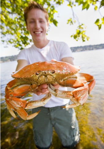 Imagen 4 para Sea Life Lite