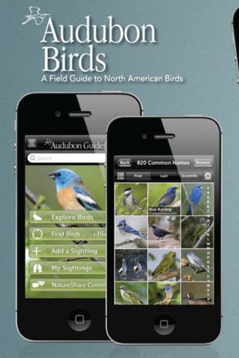 Image 0 for Audubon Bird Guide: North…