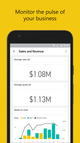 Image 3 for Microsoft Power BI-Busine…