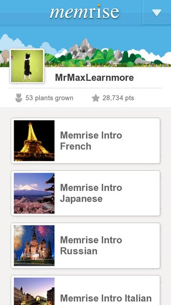 Imagen 3 para Learn Languages, Grammar …
