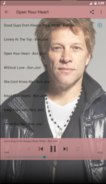 Imagen 2 para Bon Jovi Best Of Album