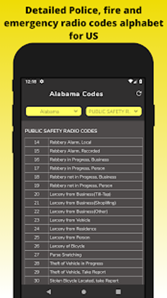 Image 3 for Police Scanner Radio Code…