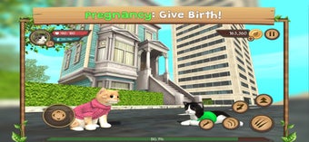 Imagen 0 para Cat Sim Online: Play With…