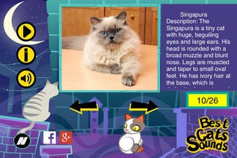 Image 0 for The Best Cats Sounds