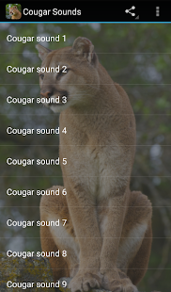 Image 0 for Cougar Sounds