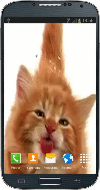 Image 1 for Cat Licking Screen