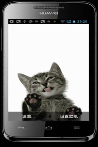 Image 2 for Cat Licking Screen