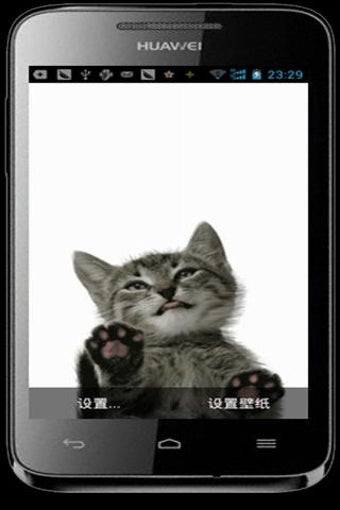 Image 3 for Cat Licking Screen