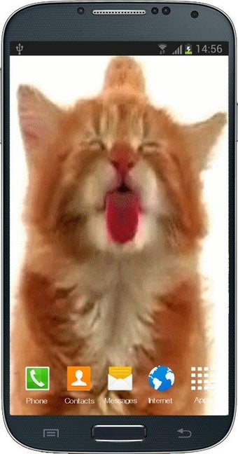 Image 0 for Cat Licking Screen