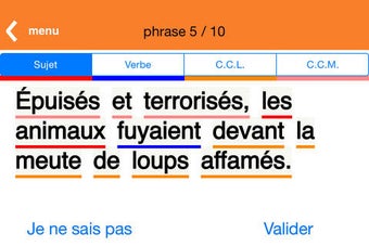 Image 0 for Grammaire CM1