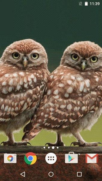 Image 2 for Owl Live Wallpaper