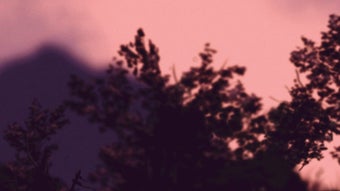 Image 0 for I Like Walking Very Much