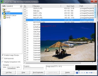 Image 0 for DuplicateFiles