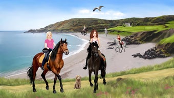 Image 0 for Horse and rider dressing …