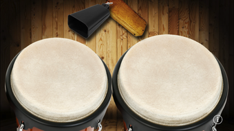 Image 0 for Bongos! Free