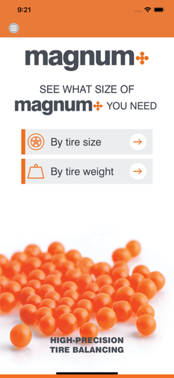 Image 0 for Magnum+ Tire Balancing