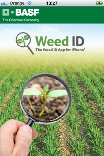 Image 0 for Weed ID