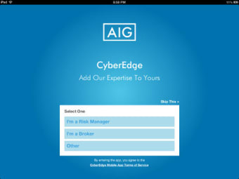 Image 0 for AIG CyberEdge