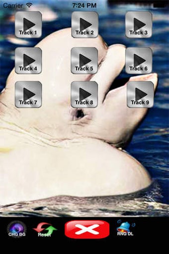 Image 0 for Beluga Whale - Cold Ocean…