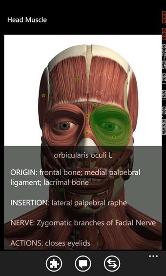 Image 1 for Visual Anatomy for Window…
