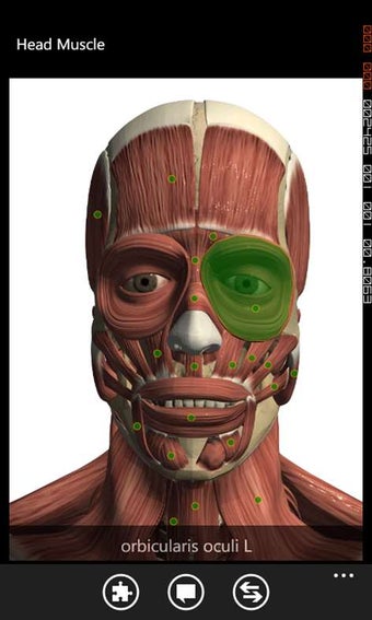 Image 3 for Visual Anatomy for Window…