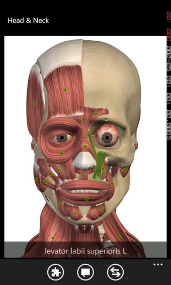 Image 2 for Visual Anatomy for Window…