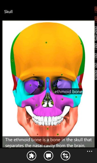 Image 0 for Visual Anatomy for Window…